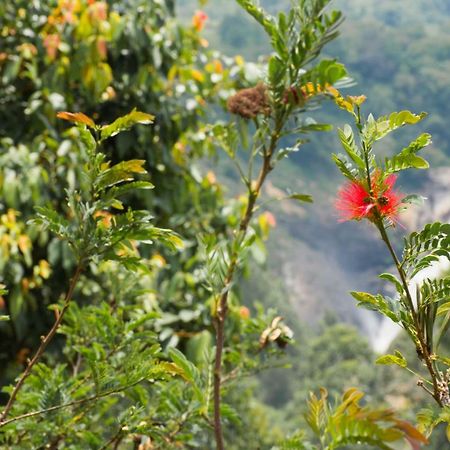 Aranyaka Resorts Munnar Esterno foto