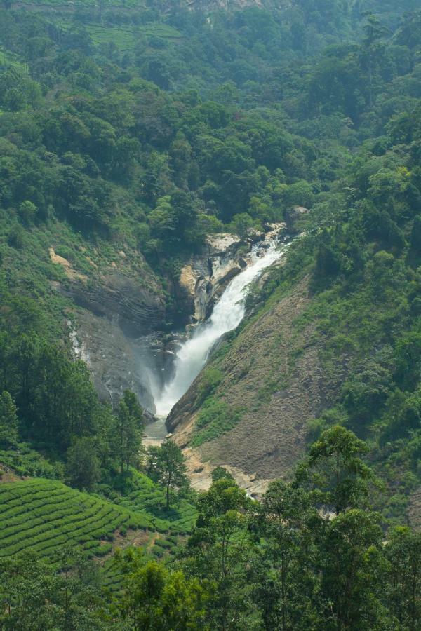 Aranyaka Resorts Munnar Esterno foto